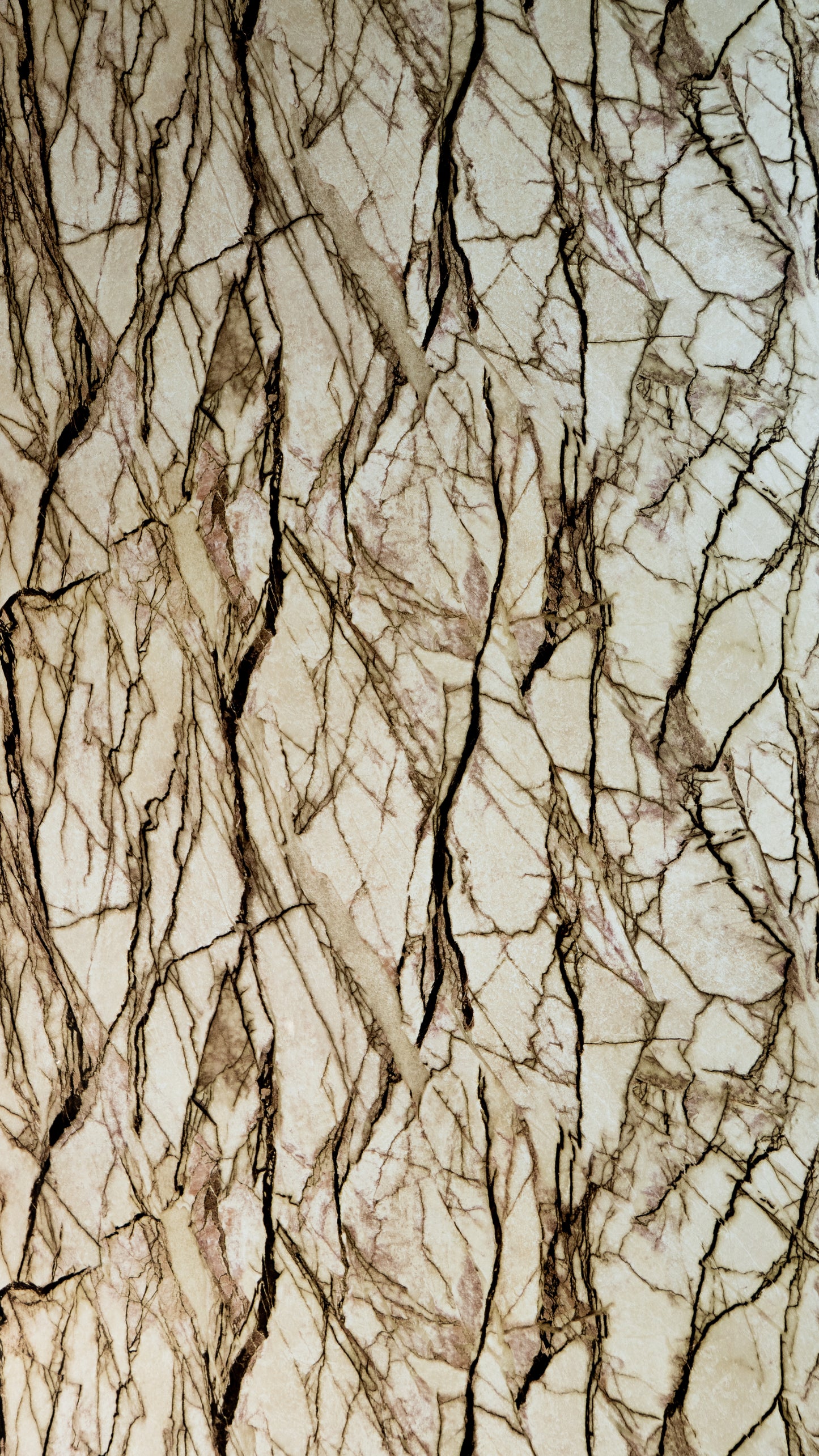 MARMO SPIDER BEIGE 2. jakost