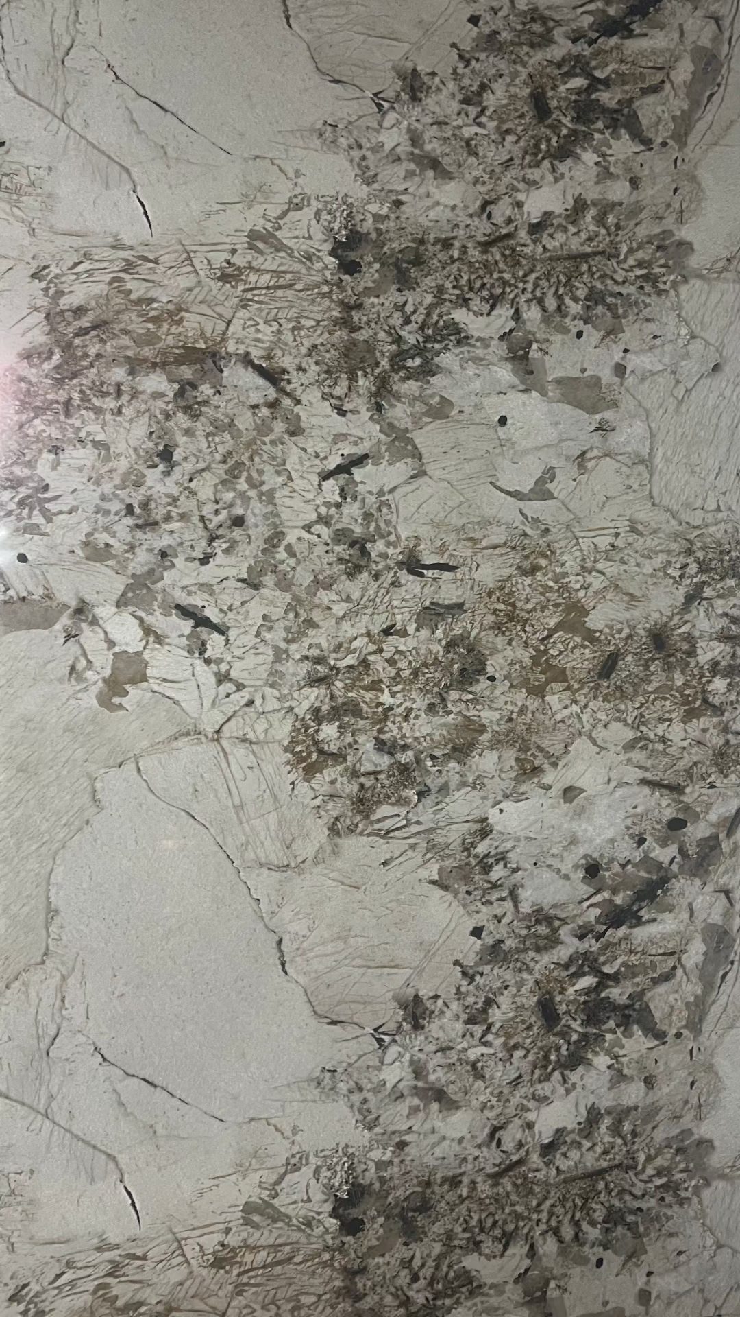 CALCATTA GOLD II, 2. jakost