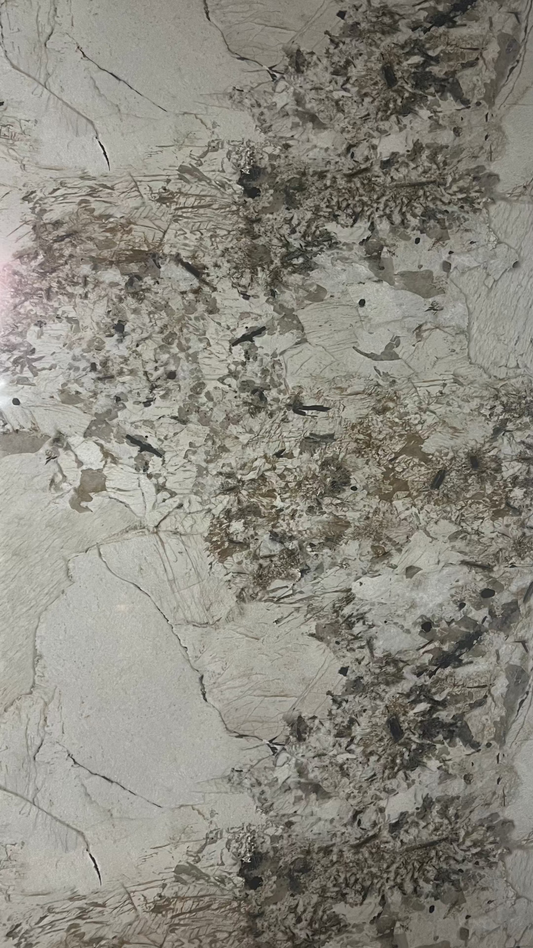 CALCATTA GOLD II, 2. jakost